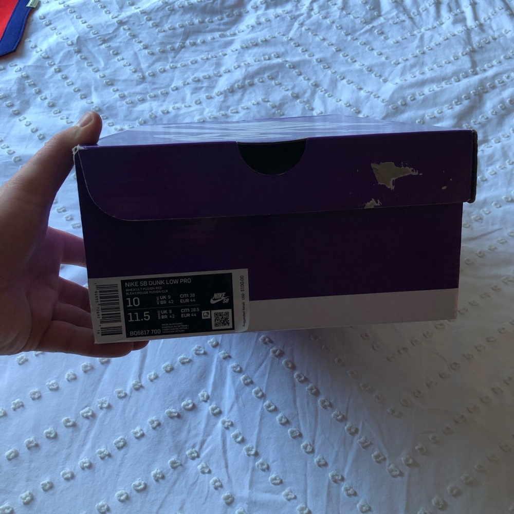 Nike SB Dunks Mens Size 10- Reverse Papa Bear